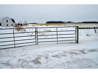 Property photo 5 - AUCTION, 206 Contiguous Acres offered in 5 Tracts